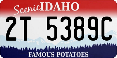 ID license plate 2T5389C
