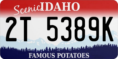 ID license plate 2T5389K