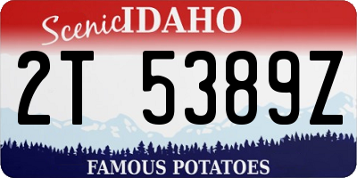 ID license plate 2T5389Z