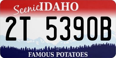 ID license plate 2T5390B
