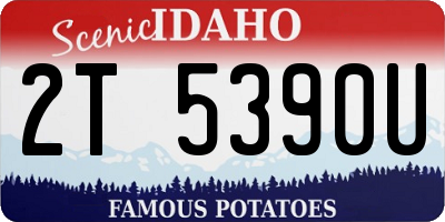 ID license plate 2T5390U