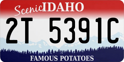 ID license plate 2T5391C