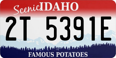 ID license plate 2T5391E
