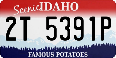 ID license plate 2T5391P