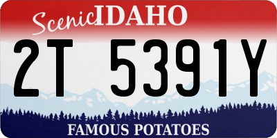ID license plate 2T5391Y