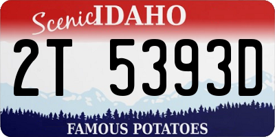 ID license plate 2T5393D