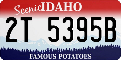 ID license plate 2T5395B
