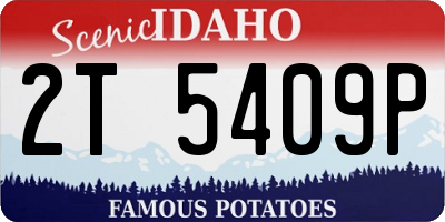 ID license plate 2T5409P