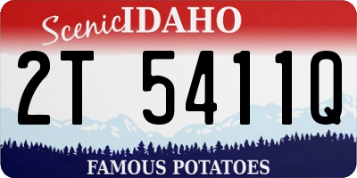 ID license plate 2T5411Q