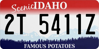 ID license plate 2T5411Z