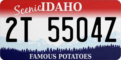 ID license plate 2T5504Z