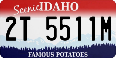 ID license plate 2T5511M
