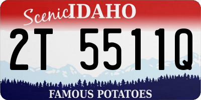 ID license plate 2T5511Q