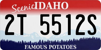 ID license plate 2T5512S