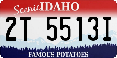 ID license plate 2T5513I