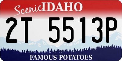 ID license plate 2T5513P