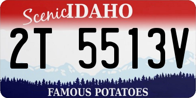 ID license plate 2T5513V