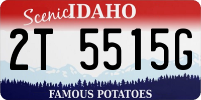 ID license plate 2T5515G