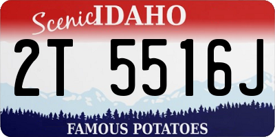 ID license plate 2T5516J
