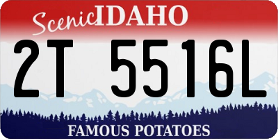 ID license plate 2T5516L