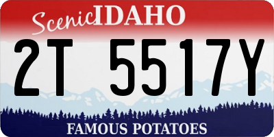 ID license plate 2T5517Y
