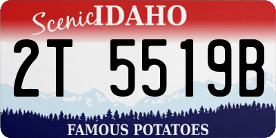ID license plate 2T5519B