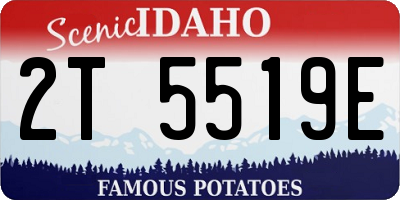 ID license plate 2T5519E