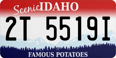 ID license plate 2T5519I