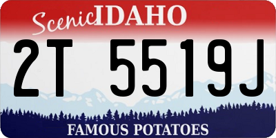 ID license plate 2T5519J