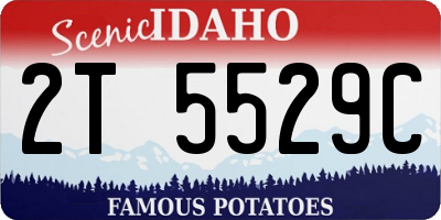 ID license plate 2T5529C