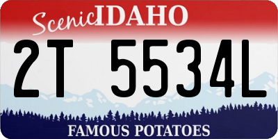 ID license plate 2T5534L