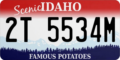 ID license plate 2T5534M