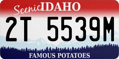 ID license plate 2T5539M
