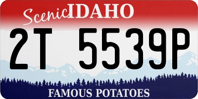 ID license plate 2T5539P