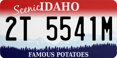 ID license plate 2T5541M