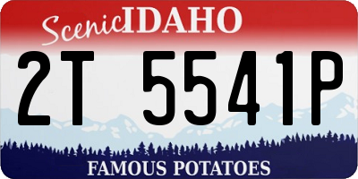 ID license plate 2T5541P