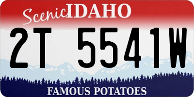ID license plate 2T5541W