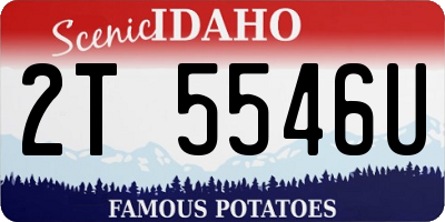 ID license plate 2T5546U