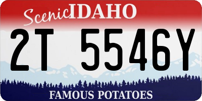 ID license plate 2T5546Y