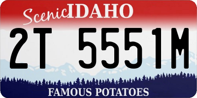 ID license plate 2T5551M