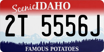ID license plate 2T5556J