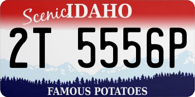 ID license plate 2T5556P