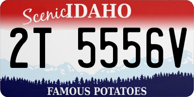 ID license plate 2T5556V