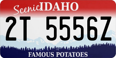 ID license plate 2T5556Z