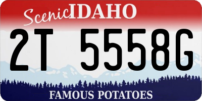 ID license plate 2T5558G