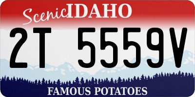 ID license plate 2T5559V