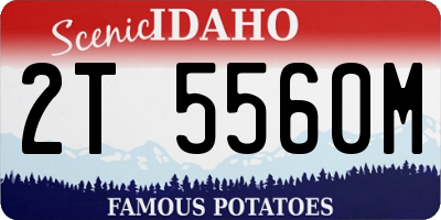 ID license plate 2T5560M