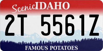 ID license plate 2T5561Z