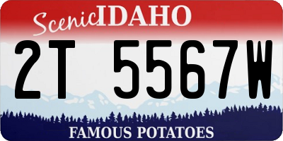 ID license plate 2T5567W