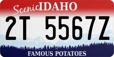 ID license plate 2T5567Z